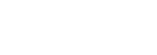 The Reinsmen Group